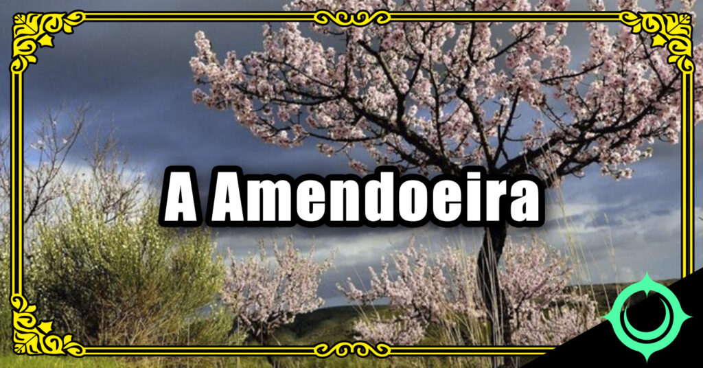 A Amendoeira